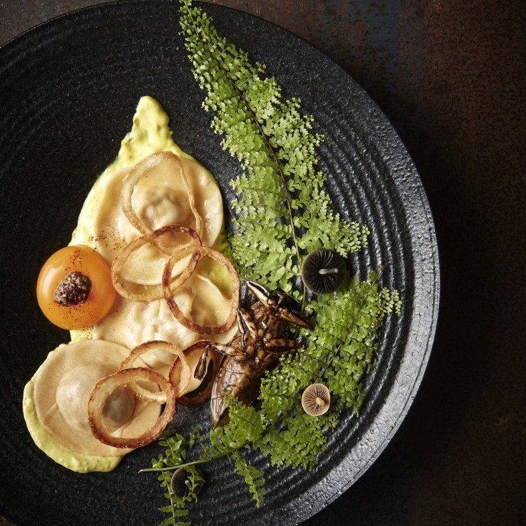 Ravioli of giant water beetle with fresh turmeric cream sauce at Insects in the Backyard in Bangkok. Photo: Insects in the Backyard