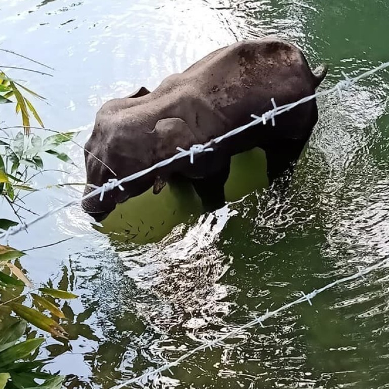 Bollywood Celebrities Join Outpouring Of Grief As Pregnant