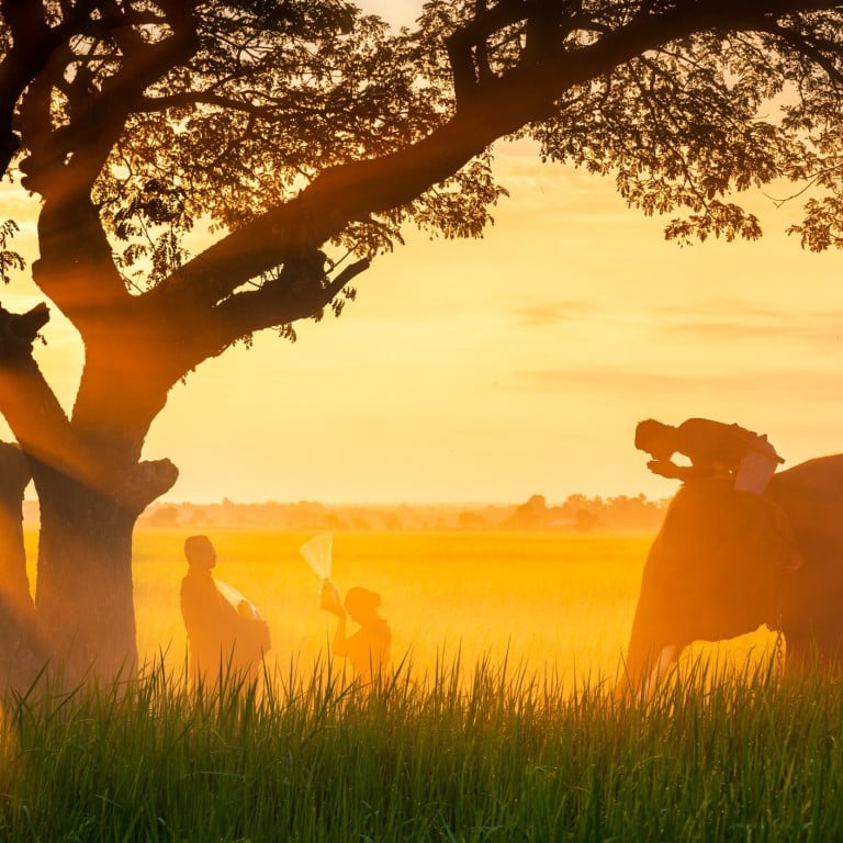 Ethical tourism and socially minded travel could become the new normal. Photo: Getty Images/iStockphoto