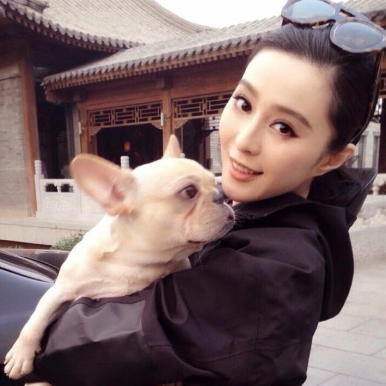 Fan Bingbing criticised the cruelty of slaughtering dogs to eat. Photo: @jerseychong/Weibo