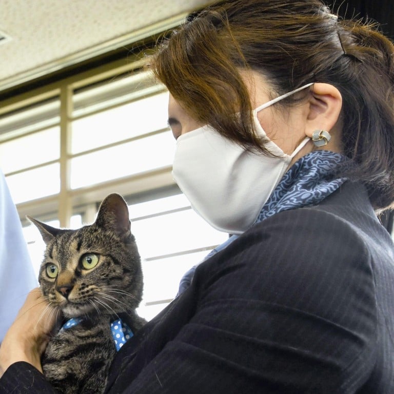 koko the cat helped save man stuck in a