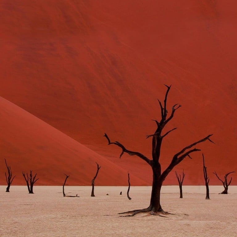 Sossusvlei, Namibia – an African landscape worth visiting for more than the animals. Photo: @letusgophoto/Instagram