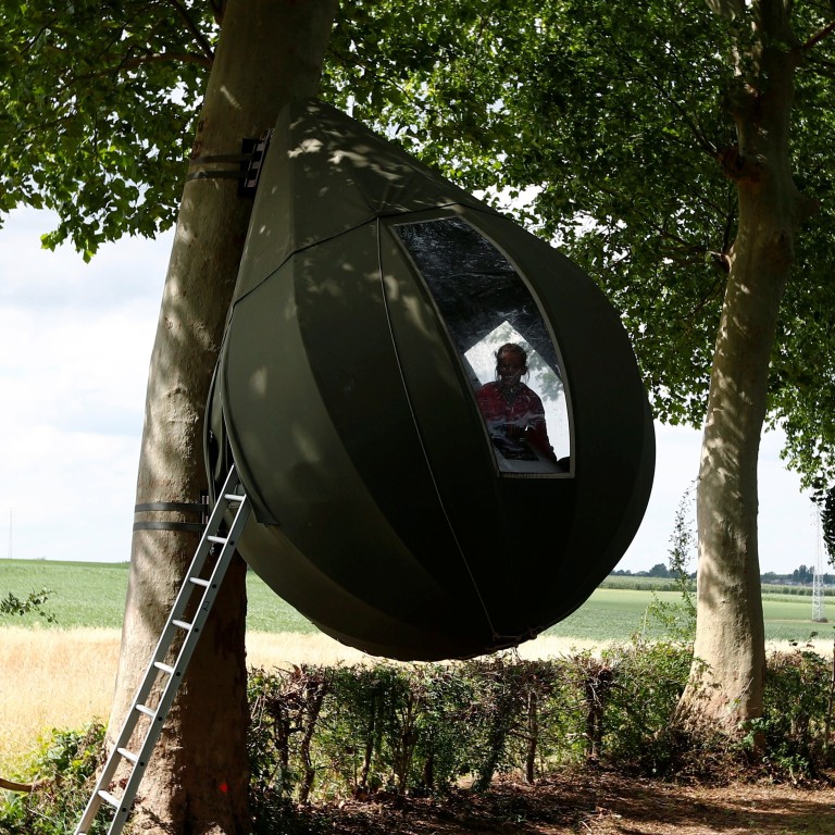 Dutch artist s tree tents providing an alternative holiday option