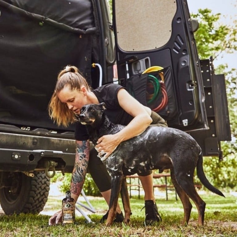 Bruce Banner is now home to one couple and their dogs. Photo: TouRig