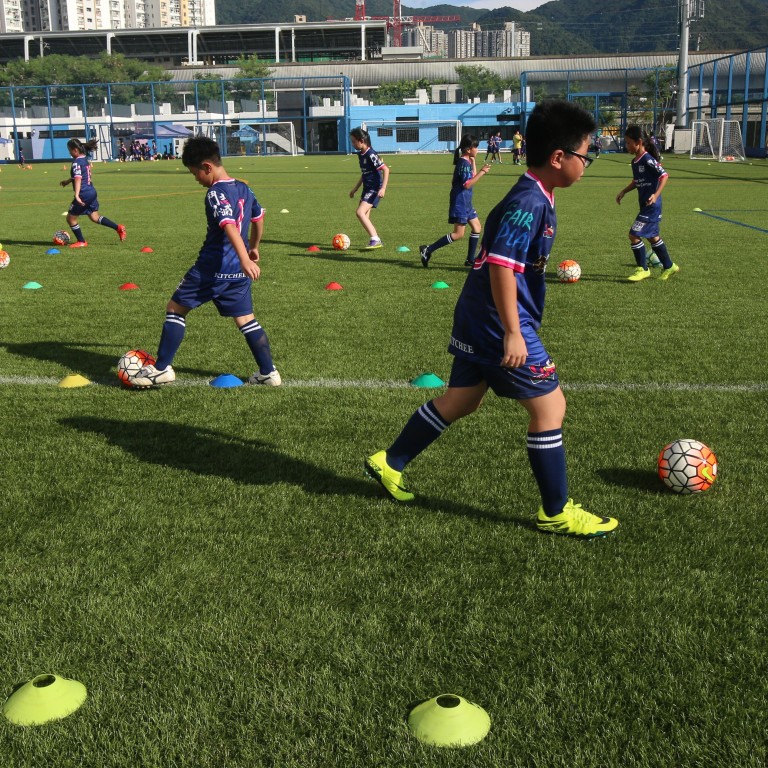 The Hong Kong Premier League Should Open Its Doors To Overseas Parties Too Says Football Commentator Li Tak Nang South China Morning Post