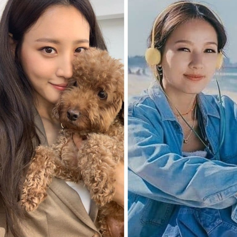 Meet the K-stars who gave up meat – Claudia Kim, Lee Hyori and Lee Ha-nee. Photo: @claudiashkim, @my_singer_hyolee, @honey_lee32/Instagram