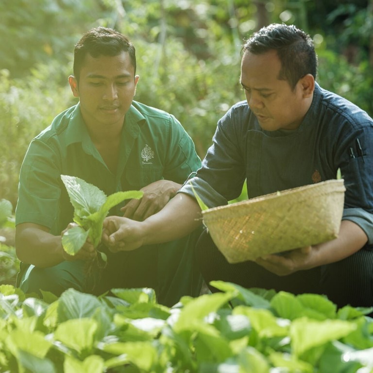 Bawah Reserve, a regenerative resort in Indonesia’s Riau Archipelago, grows most its own produce. Photo: Regenerative Travel