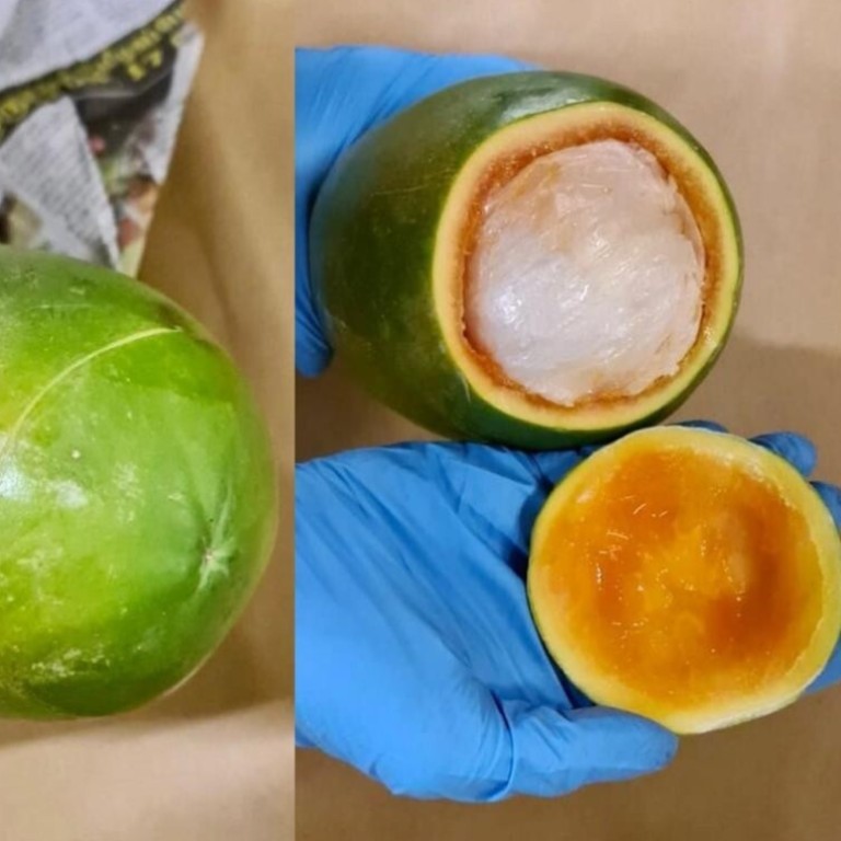 In Singapore Nearly Us 91 000 Of Narcotics Found Hidden Inside Papaya Fruits South China Morning Post