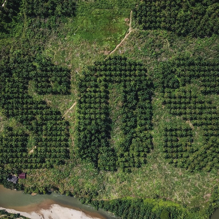A giant SOS carved into an oil palm plantation in Sumatra by Lithuanian artist Ernest Zacharevic, to draw attention to the damage caused by deforestation to wildlife and indigenous people in Indonesia. Picture courtesy: Ernest Zacharevic