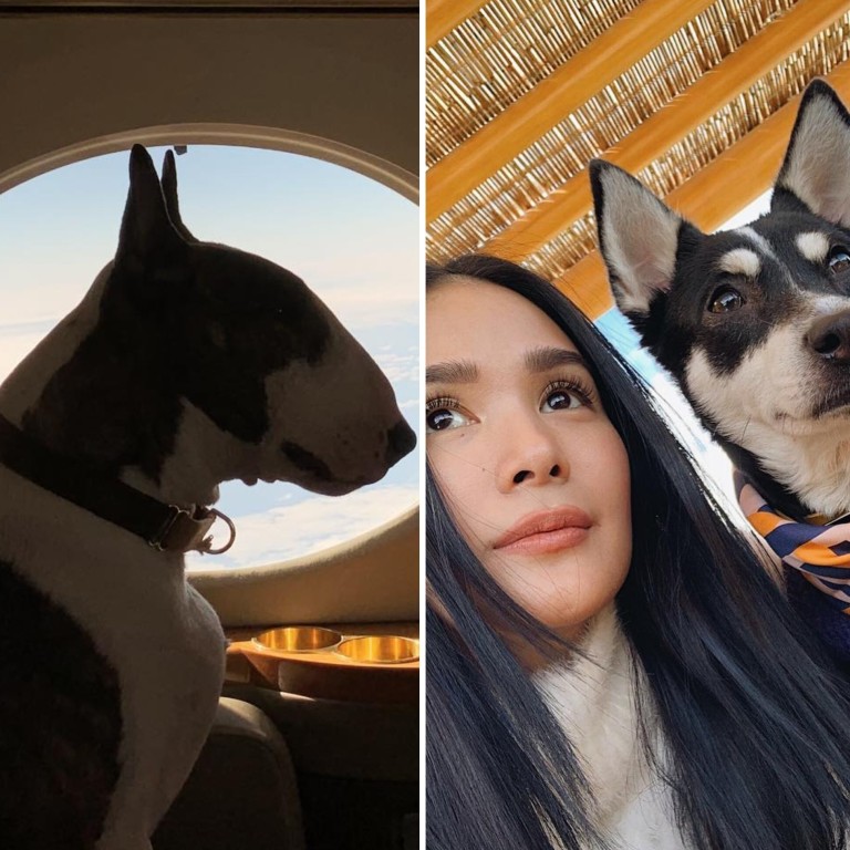Pampered pooches: From left to right, Bryan Boy’s Bettina, Marc Jacobs’ Neville and Heart Evangelista’s Panda. Photos: @bettinabuffe; @nevillejacobs; @iamhearte/Instagram