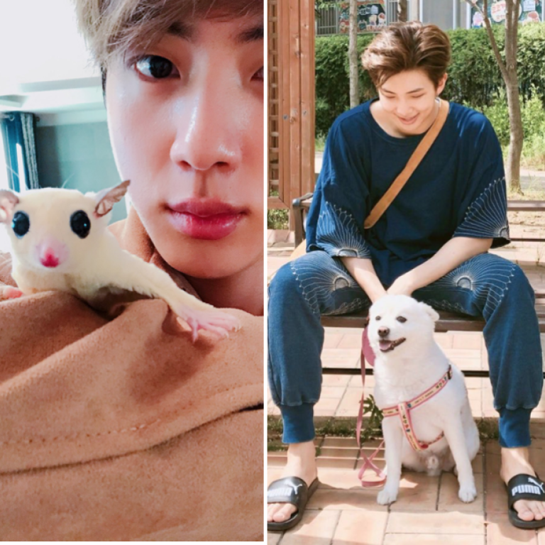 Bts Members Love Their Pets And Post Cute Dog Photos To Instagram Just Like Us From V S Yeontan And Jungkook S Gureum To Jimin S Ddosun These Are All The K Pop Boy Group S Bts Members Love Their Pets And Post Cute Dog Photos To Instagram Just Like Us From V S Yeontan And Jungkook S Gureum To Jimin S Ddosun These Are All The K Pop Boy Group S