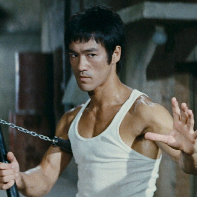 Bruce lee fight hot sale photos