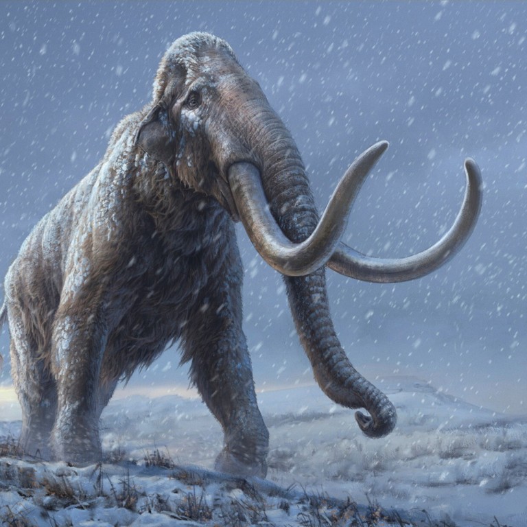 World’s oldest DNA discovered in 1.2 million-year-old mammoths | South ...
