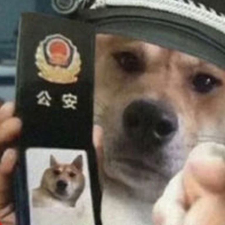 Coronavirus: Man Detained After Posting Meme Of Dog Wearing Police Hat To  Protest Against Covid-19 Restrictions | South China Morning Post