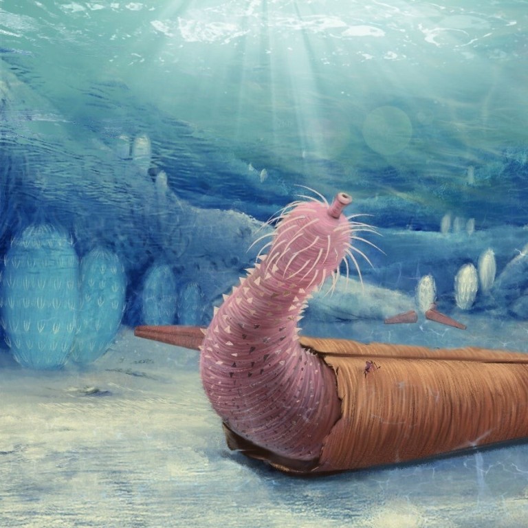 Ancient Chinese ‘penis worms’ may have been the first to use their ...