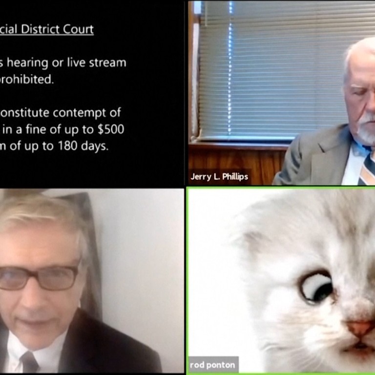 Lawyer Tells Judge I M Not A Cat In Viral Video As He Struggles With Filter During Zoom Court Hearing South China Morning Post Lawyer Tells Judge I M Not A Cat In Viral Video As He Struggles With Filter During Zoom Court Hearing South China Morning Post