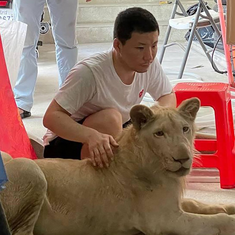 Pet lion confiscated by Cambodian police after Chinese owner shared TikTok video