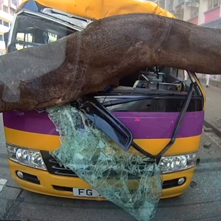 Large tree crashes onto school bus in Hong Kong, injuring three people