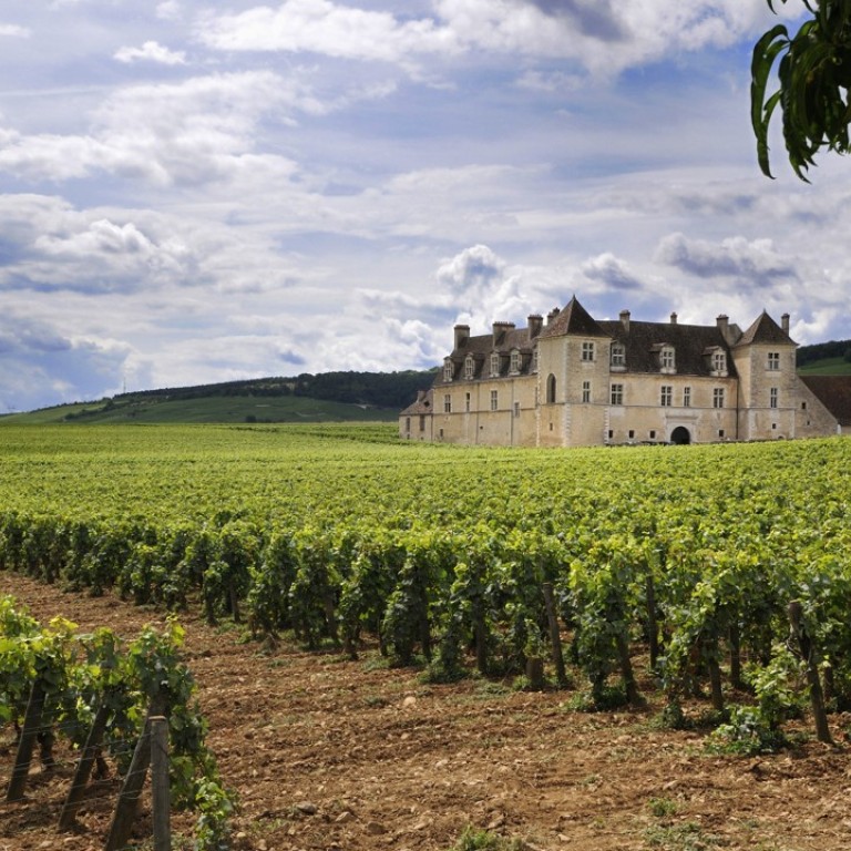 Clos Vougeot: one of Burgundy's grands crus with 1,000 years of