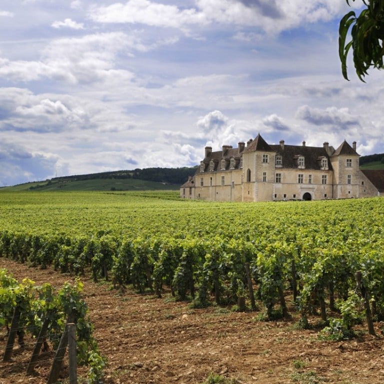 Clos Vougeot: one of Burgundy's grands crus with 1,000 years of