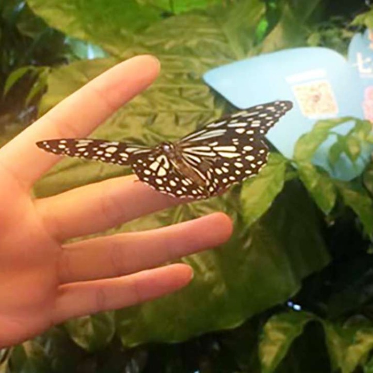 Shopping Mall Displays 100000 Butterflies To Mark Chinese Valentines Day In Eastern China 3890