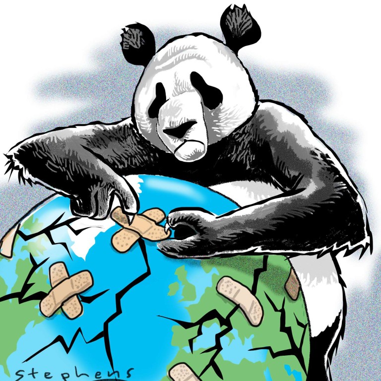 Pandas: China's secret soft-power weapon amid growing tensions with the West