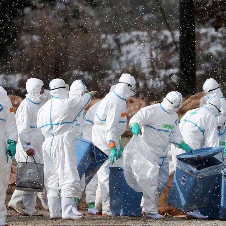 China Confirms Third Case Of Human Bird Flu In A Week | South China ...