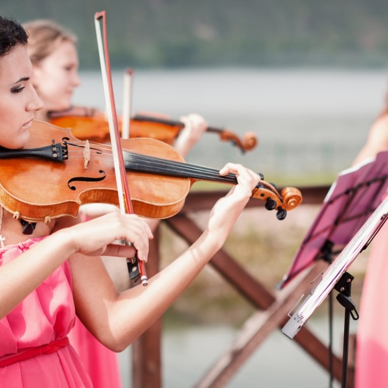 Classical musicians, who play the violin, harp or flute, are popular figures at ceremonies or receptions.