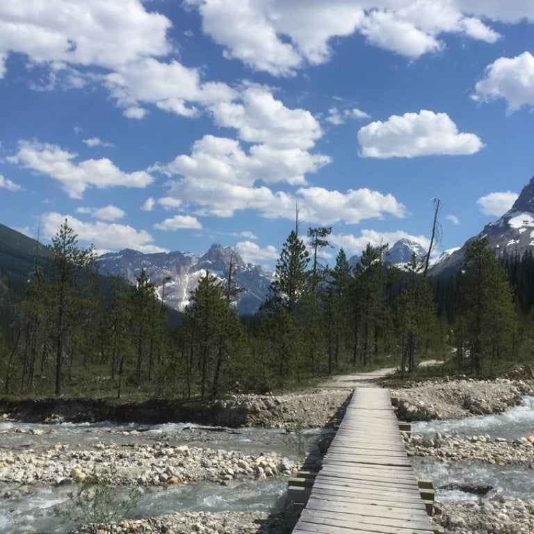 A bridge crosses a stream along the Iceline Trail in Yoho National Park in Canada's stretch of the Rocky Mountains, straddling the border of British Columbia and Alberta. It is an outdoorsman's paradise with scenic mountain hikes and crystal-blue water. Photo: AP