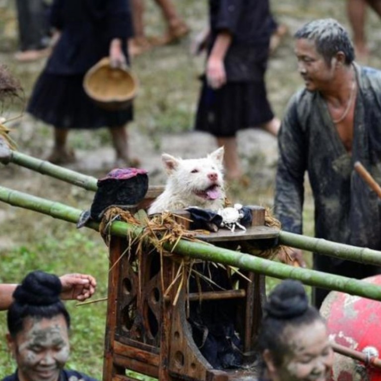 Ancient dog festival celebrates legend of heaven-sent canine in China ...