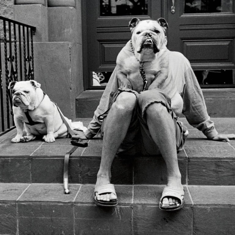 Impressive works by Elliott Erwitt, Joel Meyerowitz, Matt Stuart, and Ya’nan Li will be on display