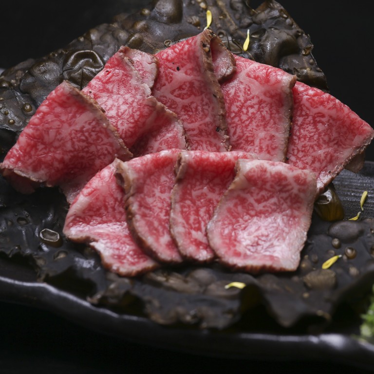 The founder of Interstellar Technologies has teamed up with his friend Hisato Hamada to form Wagyumafia