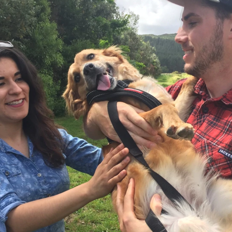 Emotional reunion after couple spend US11k bringing dog to New Zealand