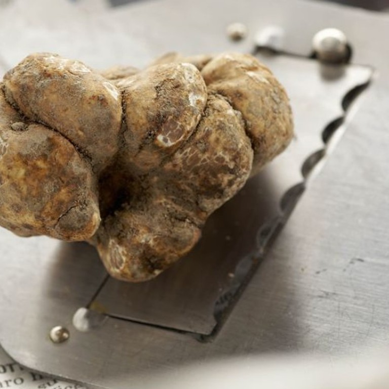 Truffle prices have doubled this year, to up to US$3,200 a pound.