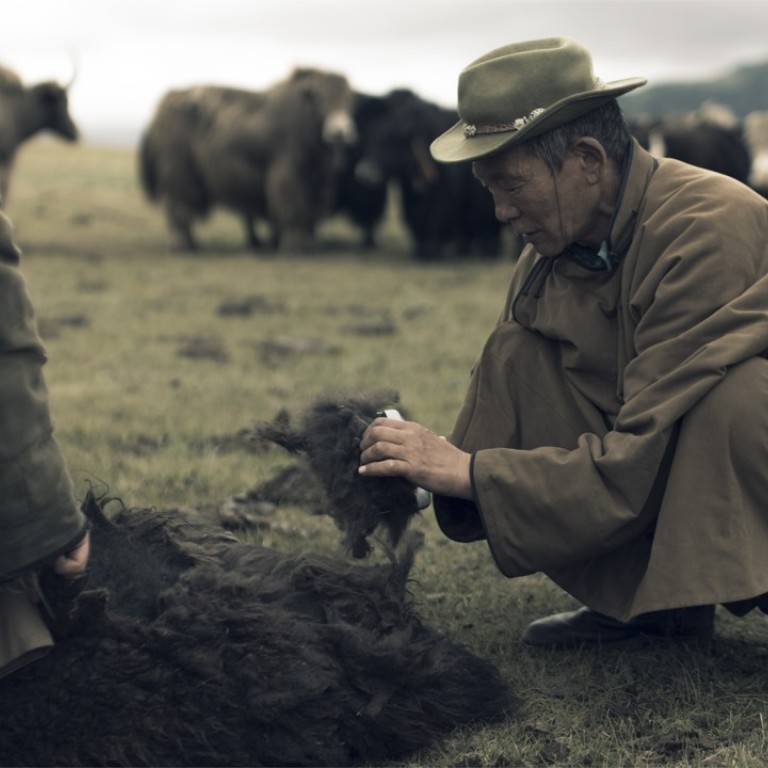 Tengri purchases yak fibres directly from co-operatives that now benefit more than 4,500 nomadic herder families.