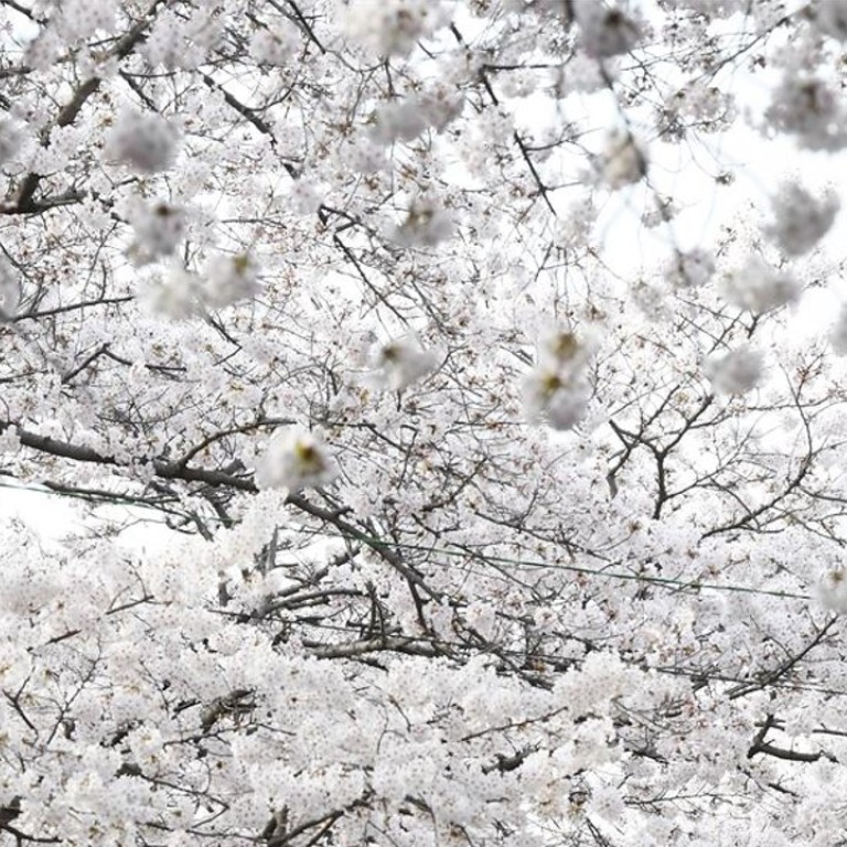 Photo: Hankook Ilbo