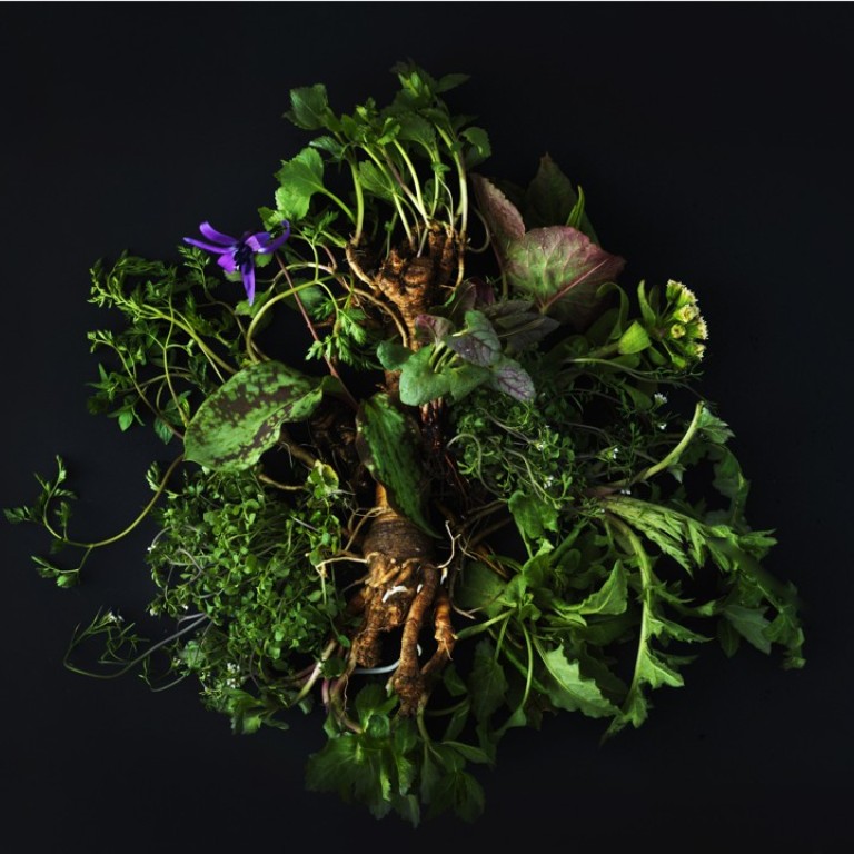 Inua opens in Tokyo on June 29 and is already taking bookings for a menu of Nordic-influenced dishes with Japanese ingredients. Photo: Jason Loucas