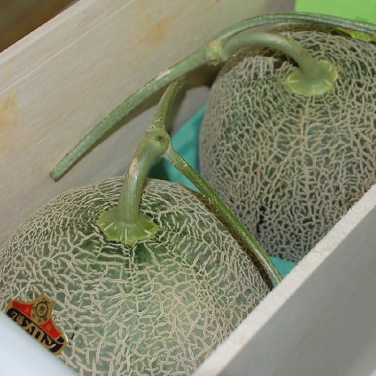 A pair of Yubari melons
