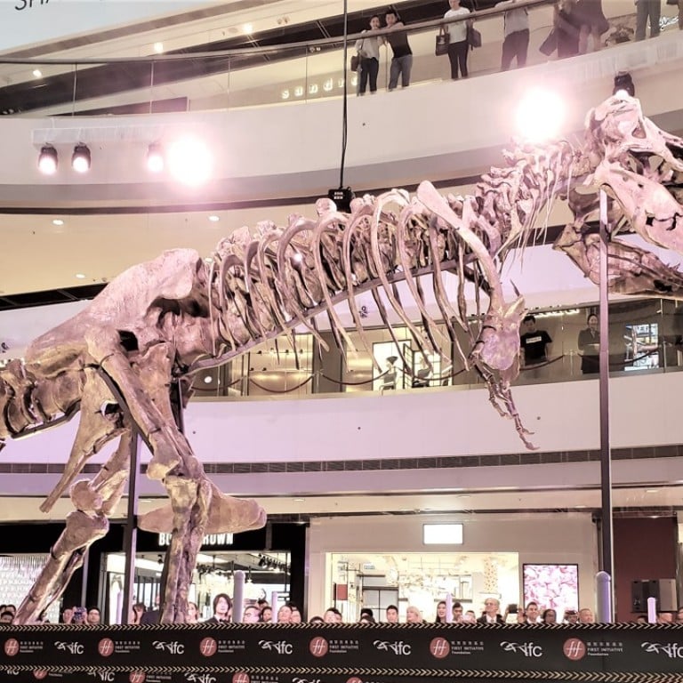 ‘TAG’ the Tyrannosaurus rex skeleton display, which is open to the public daily in the atrium of Hong Kong’s IFC Mall until June 27.