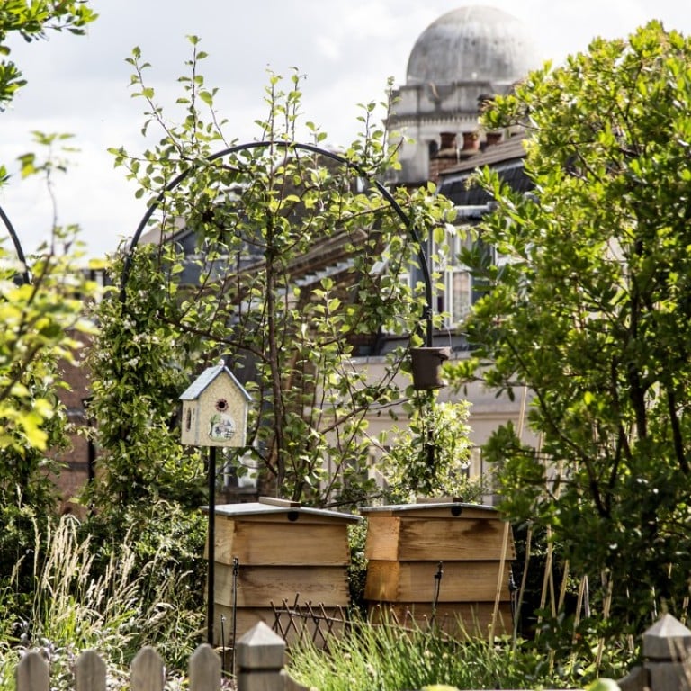 London’s Kit Kemp-designed Ham Yard Hotel has been replacing plastic items with plant-based alternatives.