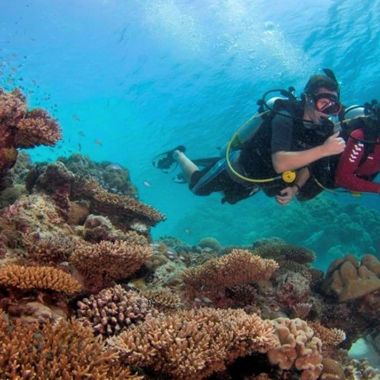 Marine biologists regularly examine the reef condition in Velavaru.