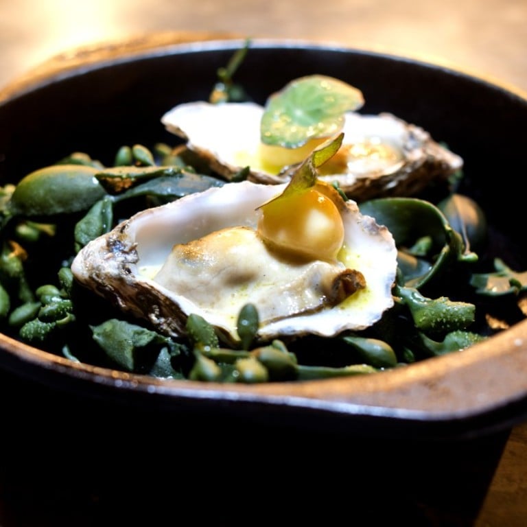 Oysters from Ekstedt in Stockholm, where celebrity chef Niklas Ekstedt cooks dishes in a wood-fired oven or stove. Photos: Alex Ang