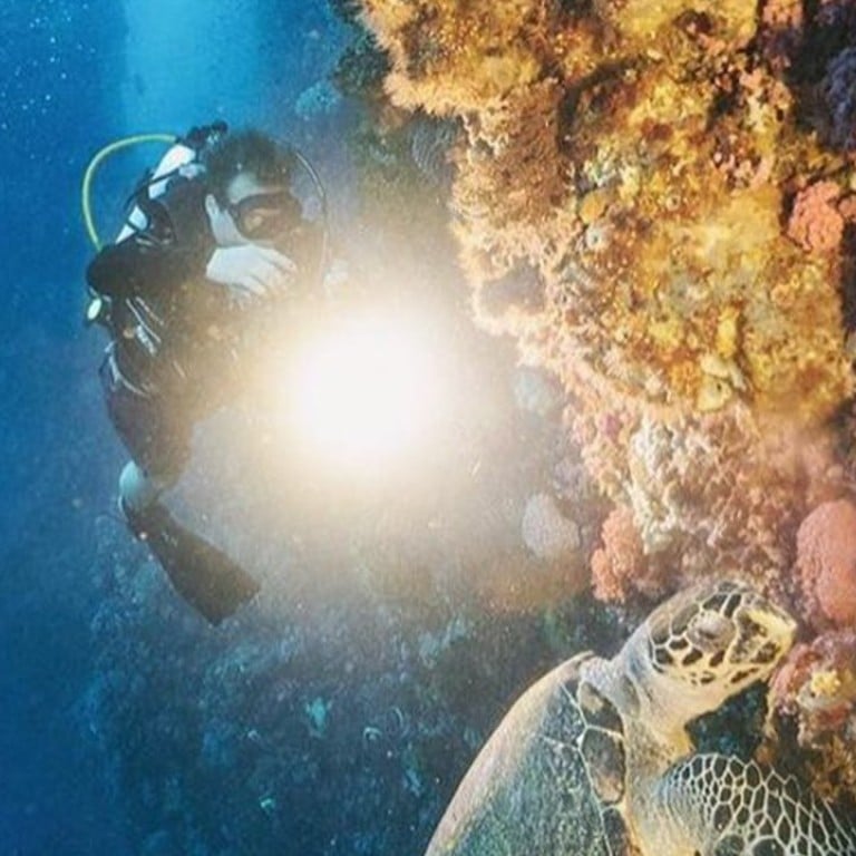 The waters off the coast of Komodo Island – about 400km away from Indonesia’s tourist magnet of Bali – are regarded as providing some of the best diving areas on the planet. Photo: Instagram @rascal_voyages, @kickthegrind