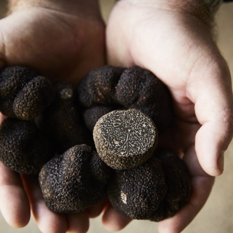 Truffles from The Truffle & Wine Co. The company is the single largest producer of ‘French’ black truffle in the southern hemisphere. Australia is expected to produce 15 tonnes this year.