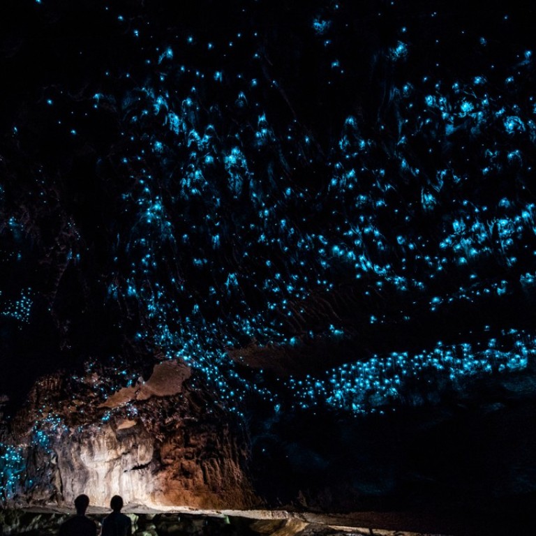 The Glow-worm Cathedral at the end of Waipu Cave in New Zealand