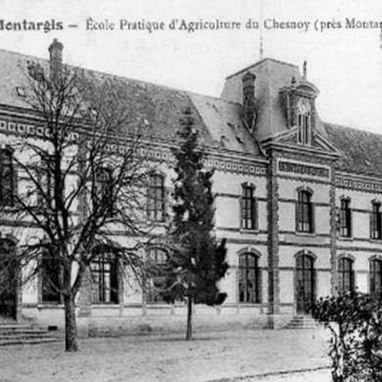 SEX AGENCY in Montargis
