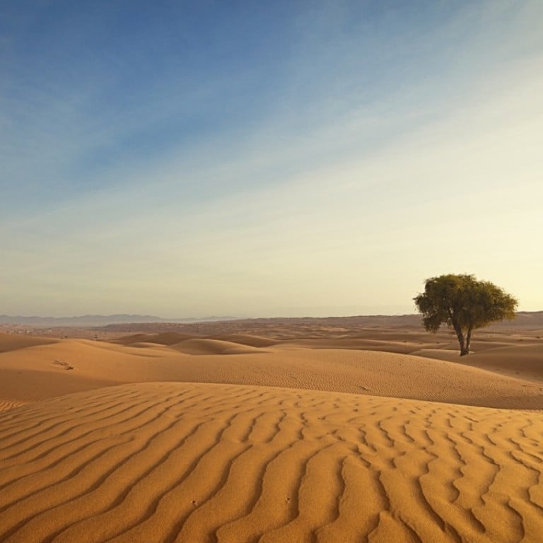 A relaxing camel safari in the otherworldly desert of Oman, which includes riding quad bikes and staying in desert camps, is one of the holiday ideas tipped to be popular in 2019.