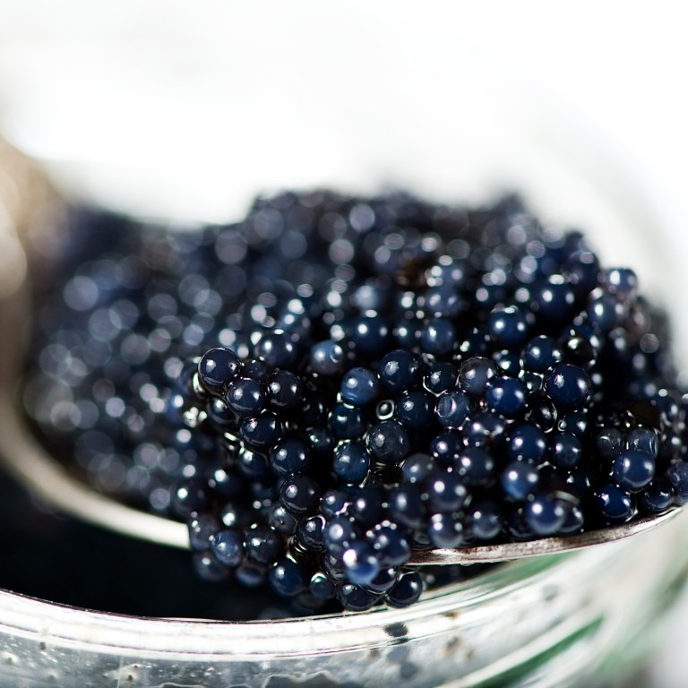 Caviar is one of the most expensive things you can eat that will never fill you up.