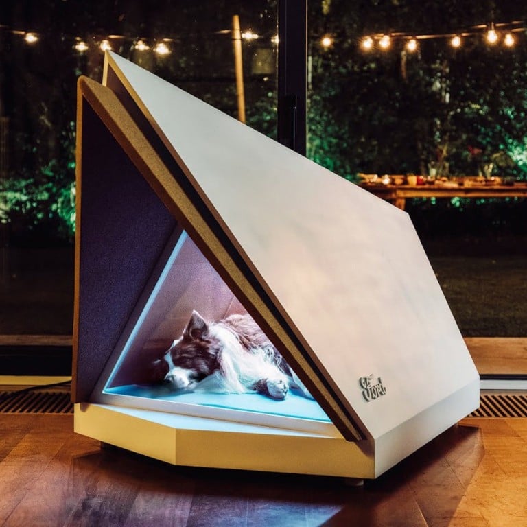 Ford’s noise-cancelling kennel could take the stress out of New Year’s Eve fireworks for your pooch – and you