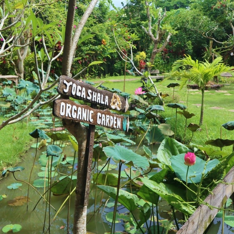 The outdoor area of Swasti Eco Cottages – a ‘conscious village’ in Bali, Indonesia – which offers guests the use of a health spa, yoga and meditation classes, including aerial silk lessons, Reiki and children’s circus arts. Photos: Kayla Hill